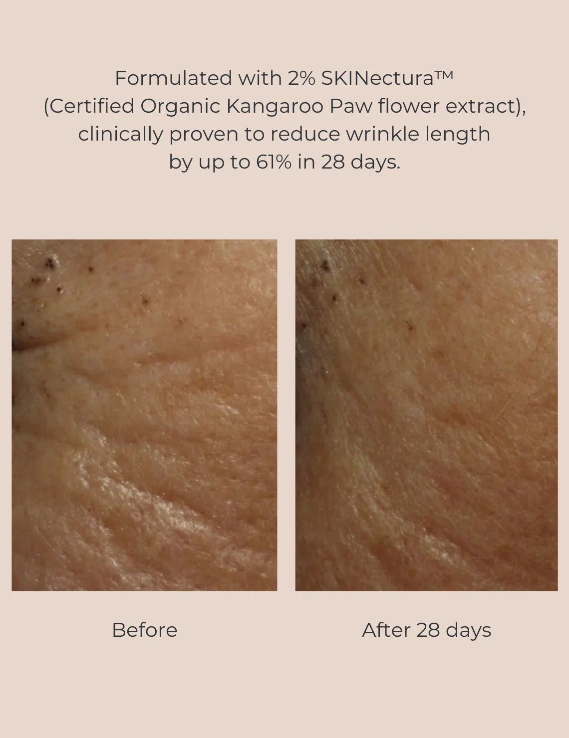 Long-Last Foundation Bundle - Image 15
