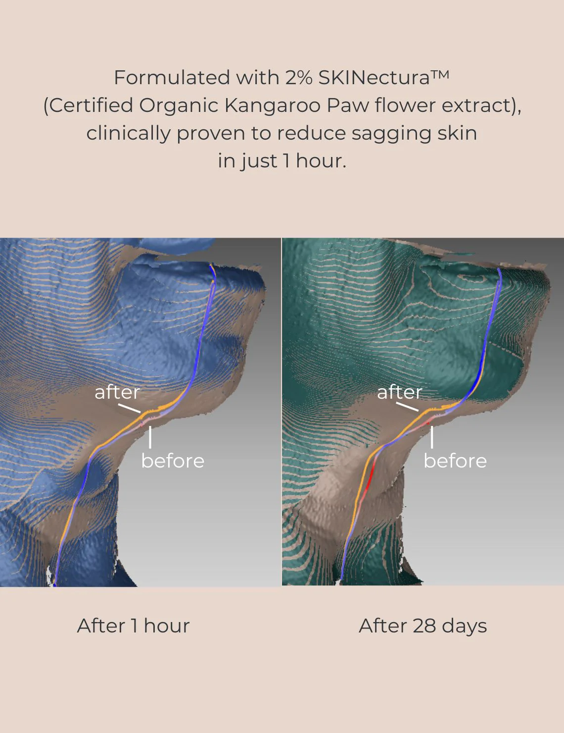 INIKA Organic Pure Perfection Primer - Image 3